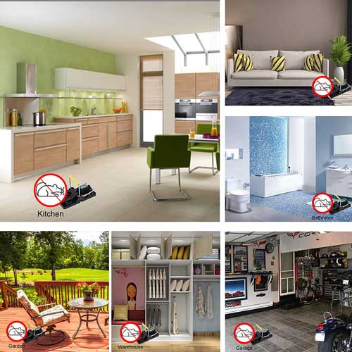 zelo občutljiva past za miši